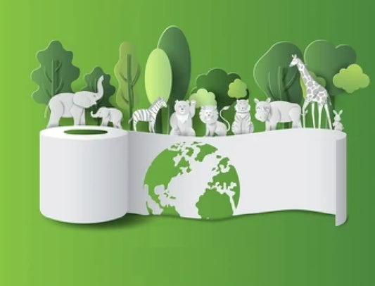 Eco-Friendly Toilet Paper: Sustainable Choices for Your