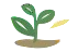 No Harsh Chemicals
