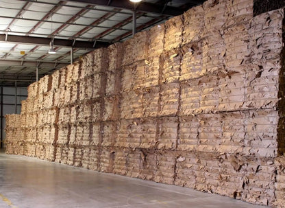 Paddy Toilet Paper: The Feel-Good Flush